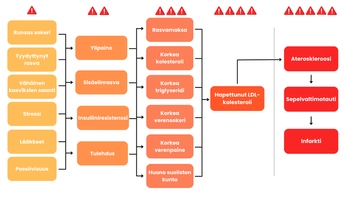 Eroon korkesta kolesterolista 30 päivässä